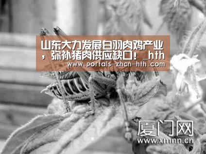 华体会app