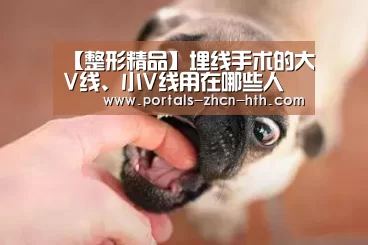 华体会
