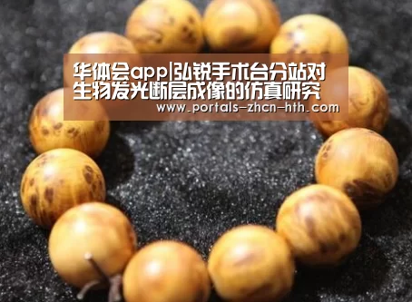 华体会app|弘锐手术台分站对生物发光断层成像的仿真研究(图3) 华体会